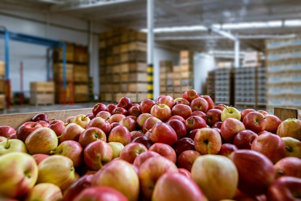 A lot of apples