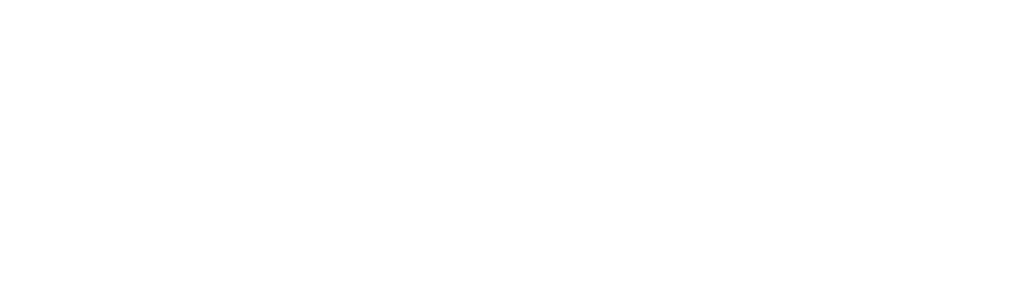 Visit Ginatricot's website